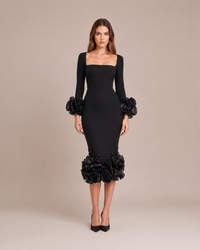Robe de soirée longue noire, Preencess